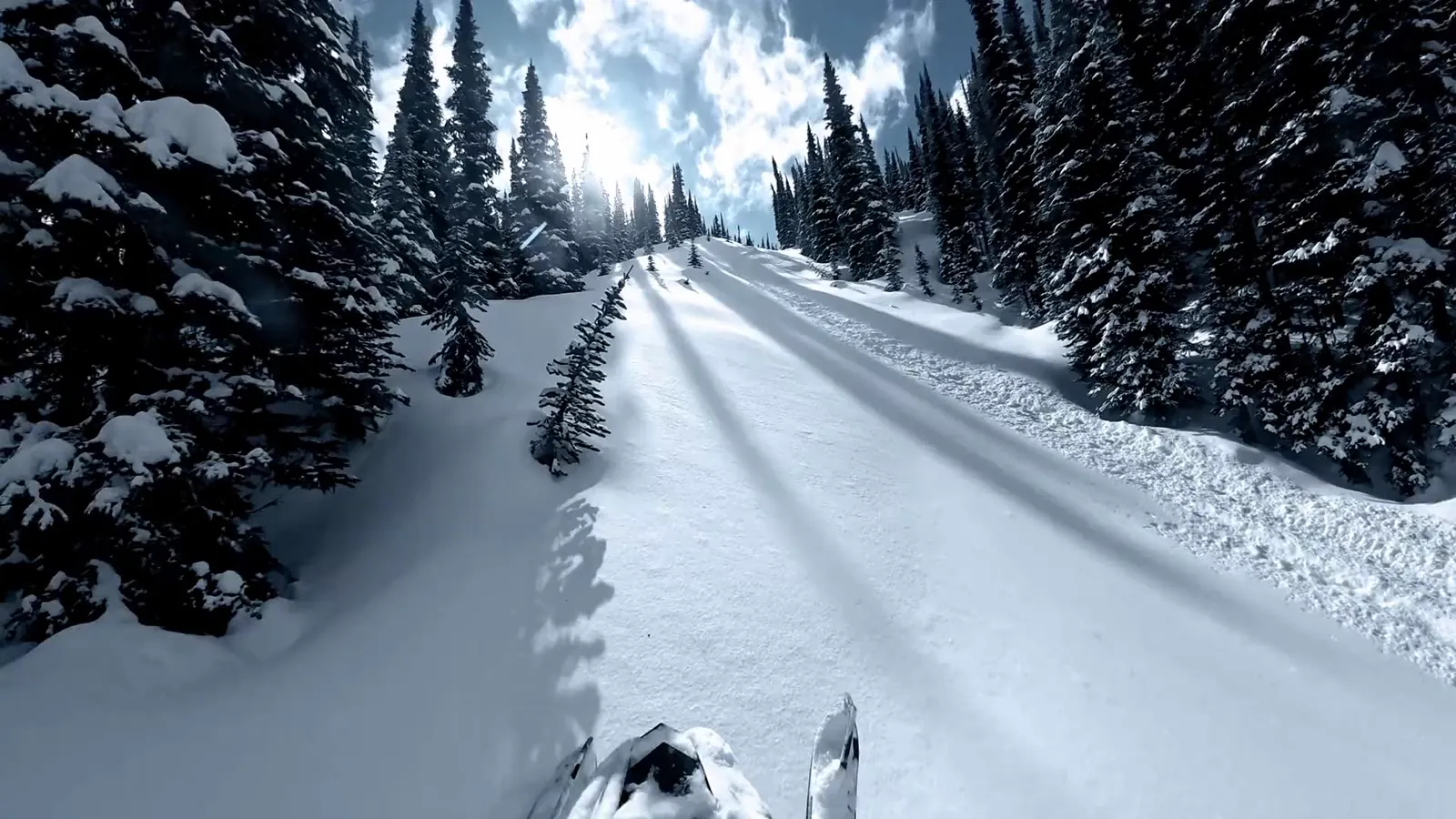 Rider's point of view riding a sunny forest trail in deep snow